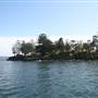 Various Sydney Harbour views from water