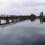 Taree