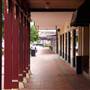 Taree