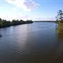 Taree