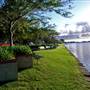 Taree