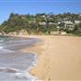 Whale Beach