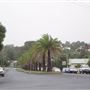 Wingham