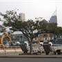 Woolloomooloo