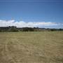 Yarra Bay Beach, Yarra Point & Bicentennial Park