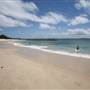 Yarra Bay Beach, Yarra Point & Bicentennial Park