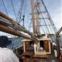 Southern Swan - Ship