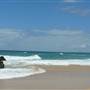 Tuckers Rocks Beach & Cottage - Bongil Bongil National Park