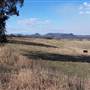 Volcanoes near Rylstone
