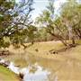 Walgett Area