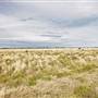 Walgett Area