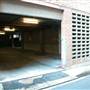 Surry Hills - Sophia Street