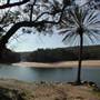 Wattamolla Beach