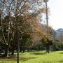 Hyde Park and Archibald Fountain - Sydney CBD