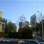 Hyde Park and Archibald Fountain - Sydney CBD