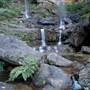 Wentworth Falls