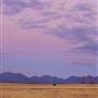 Warrumbungle National Park