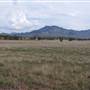 Warrumbungle National Park