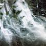Tristania Falls - Dorrigo National Park
