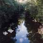 Way Way State Forest
