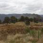 Wollondilly River Station