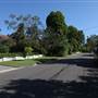 Lindfield