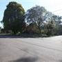 Lindfield