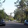 Lindfield