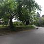 Bannockburn Rd - Pymble
