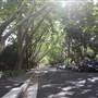 Water St - Pymble