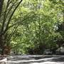 Water St - Pymble