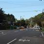 Willoughby residential road