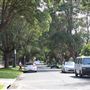 Willoughby residential road