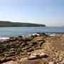 Bare Island