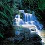 Blue Mountains National Park