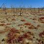 Broken Hill