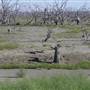 Broken Hill