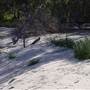 Broken Hill