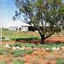Farmcote Station - Broken Hill
