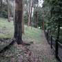 Private Horse Farm - Otford