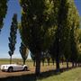 Armidale Area