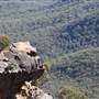 Boars Head Lookout