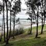 Lake Illawarra South-Boonerah