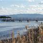 Lake Illawarra North-King St Foreshore & Bob Grabham Jetty
