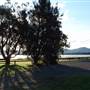 Lake Illawarra North-Purry Burry Avenue