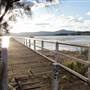Lake Illawarra North-Purry Burry Avenue