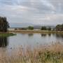 Lake Illawarra North-Budjong Creek Wetland
