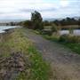 Lake Illawarra North-Budjong Creek Wetland