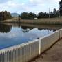 Lake Illawarra North-Budjong Creek Wetland