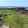 Shellharbour 2